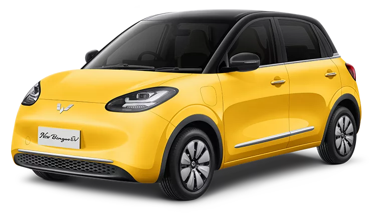 Wuling Binguo EV