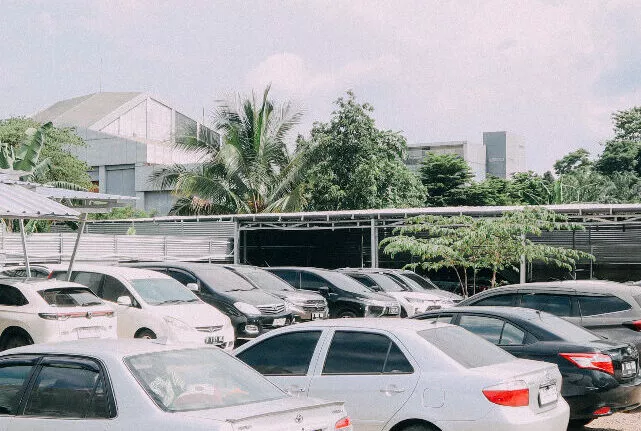 WhatsApp Image 2024 02 26 at 3.35.00 PM e1710902270539 edited